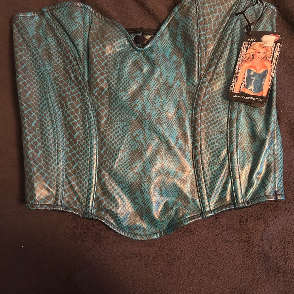 blue corset - Picture 1 of 3